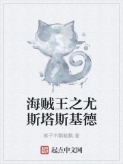 海贼之国王之上斯慕吉小说